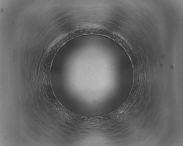 X0000073760919200608241408