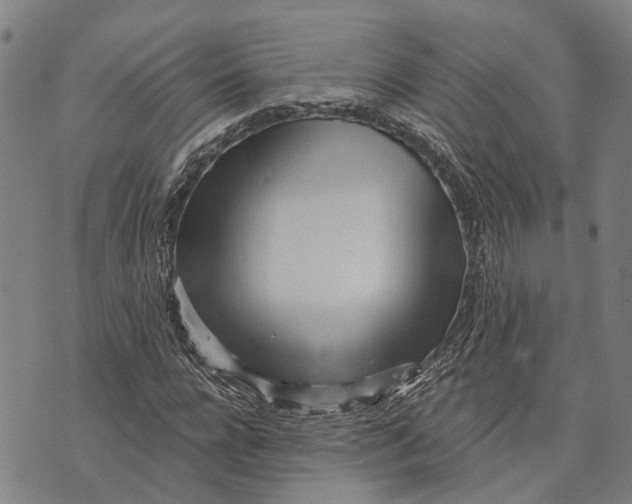 X0000073760920200608241408