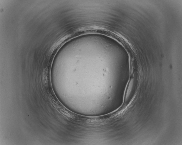 X0000073760921200608241408