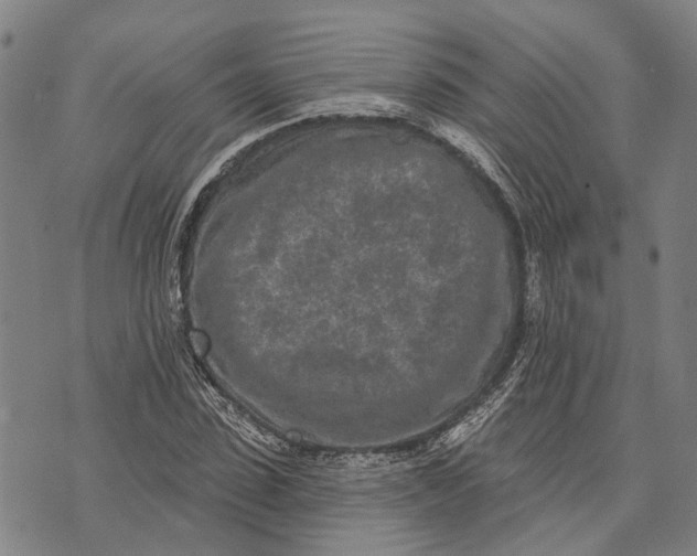 X0000073760923200608241408