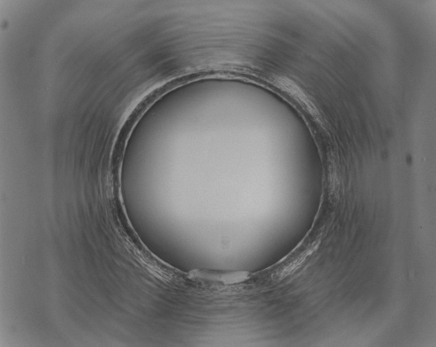 X0000073760924200608241408