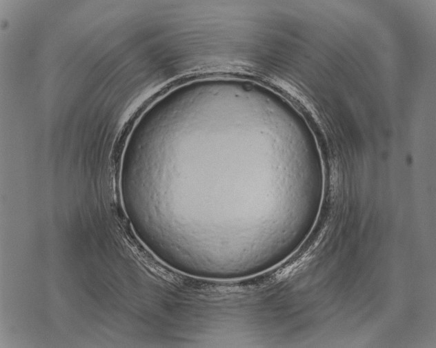 X0000073760925200608241408