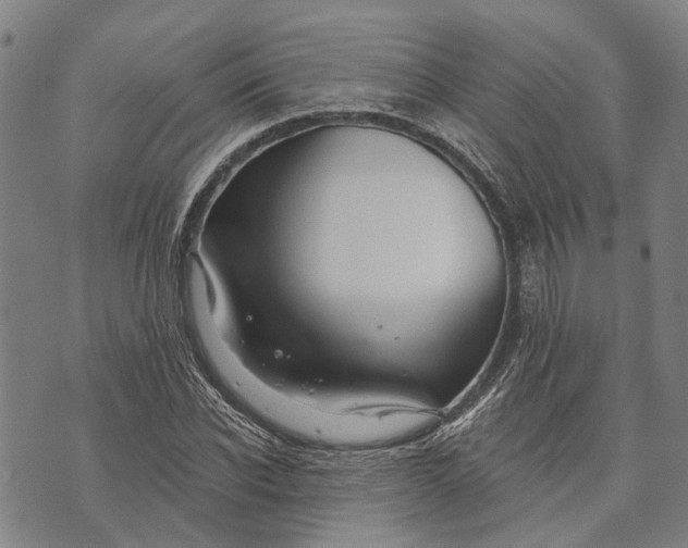 X0000073760926200608241408