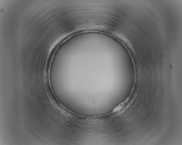 X0000073760928200608241408