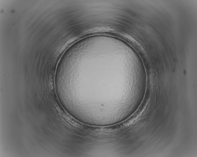 X0000073760929200608241408