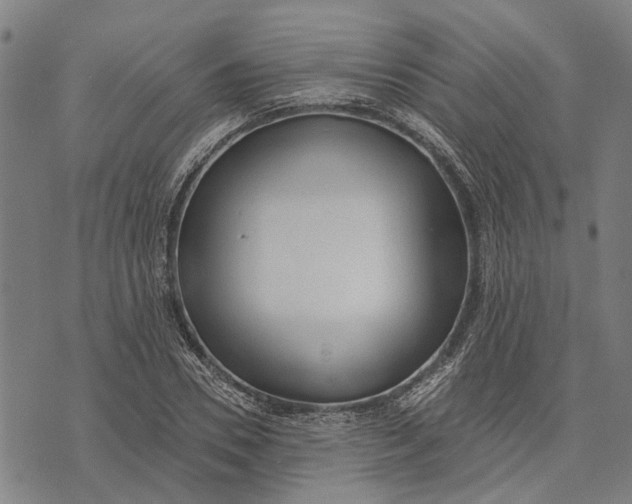 X0000073760930200608241408