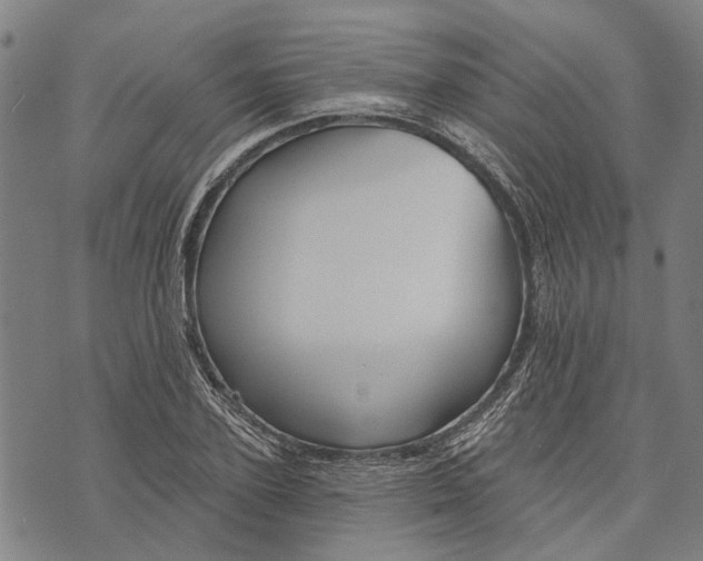 X0000073760931200608241408