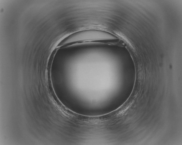 X0000073760932200608241408