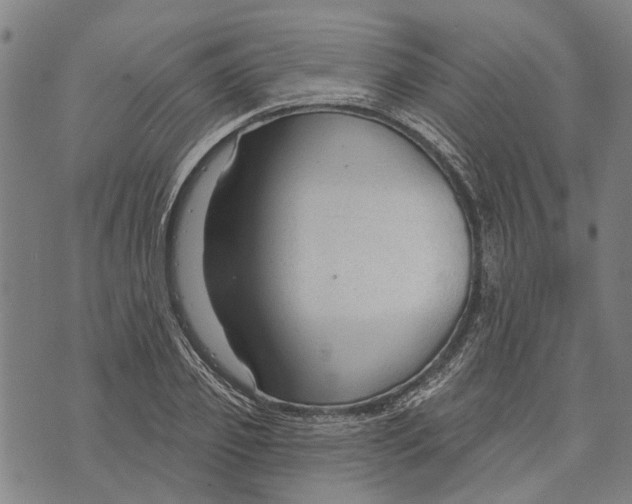 X0000073760933200608241408