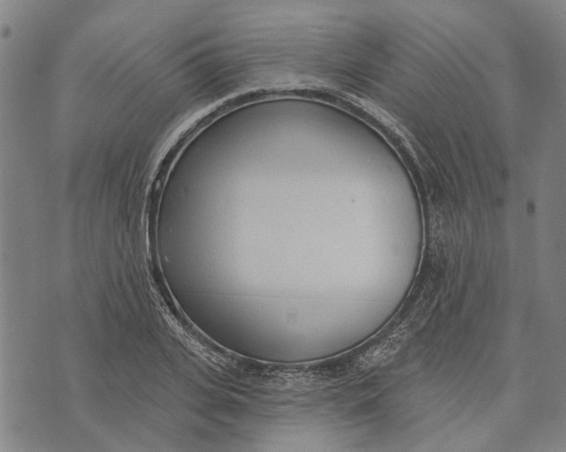 X0000073760935200608241408