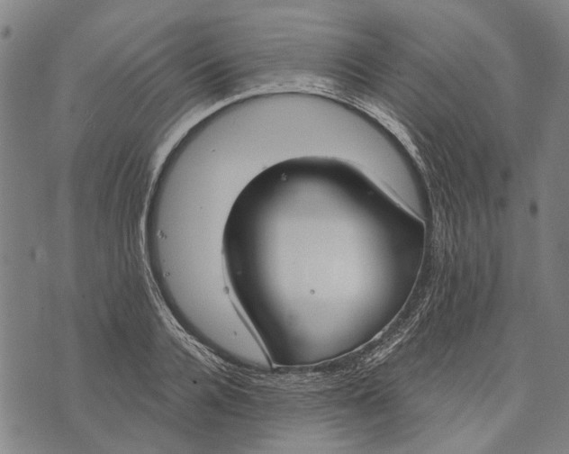 X0000073760936200608241408