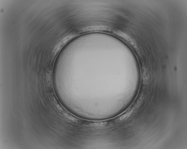 X0000073760937200608241408