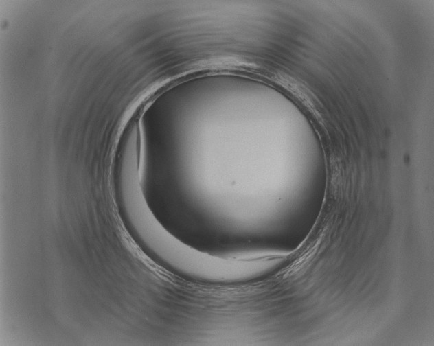 X0000073760939200608241408