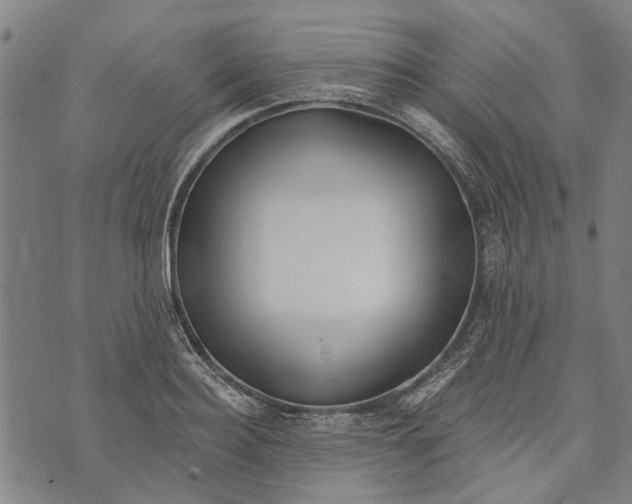 X0000073760940200608241408