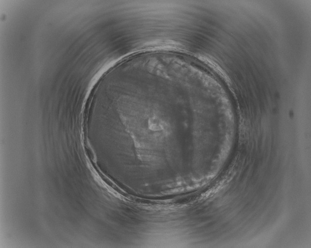 X0000073760941200608241408