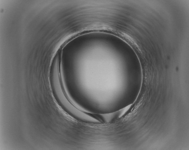 X0000073760942200608241408