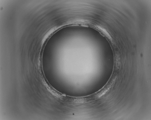 X0000073760944200608241408