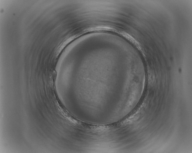 X0000073760945200608241408