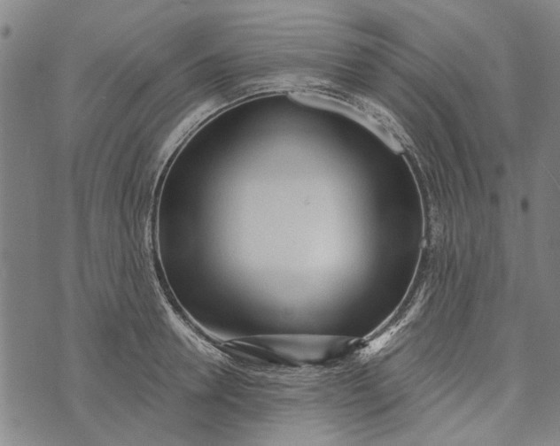 X0000073760946200608241408