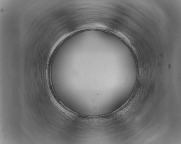 X0000073760947200608241408