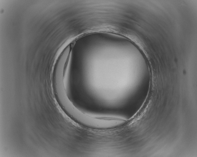 X0000073760949200608241408