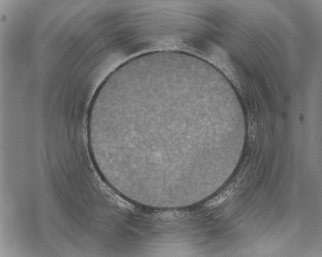 X0000073760950200608241408