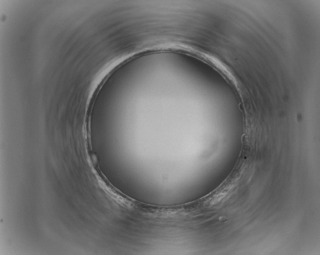 X0000073760951200608241408