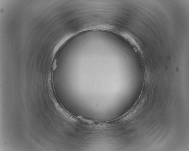 X0000073760952200608241408