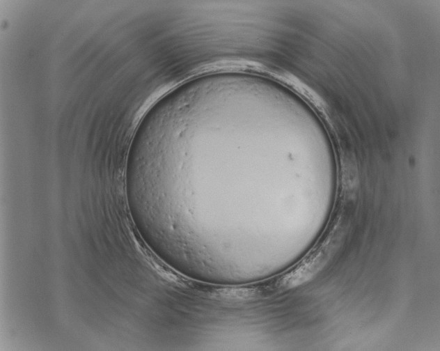 X0000073760953200608241408