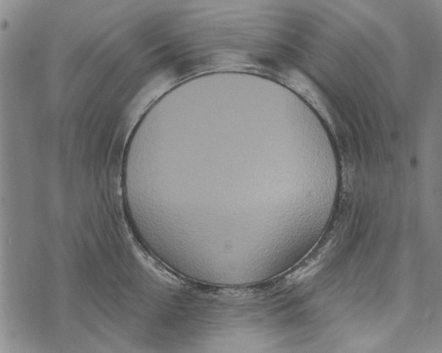 X0000073760954200608241408