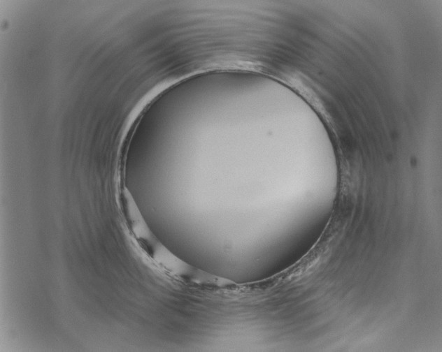 X0000073760955200608241409