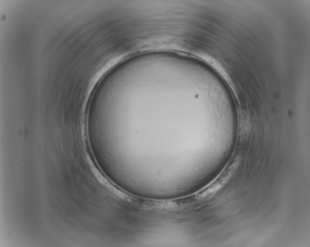 X0000073760957200608241409