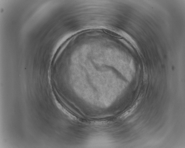 X0000073760958200608241409