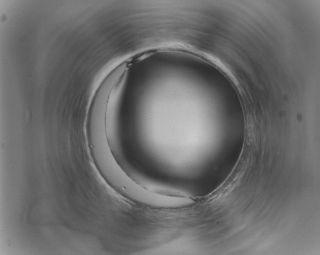 X0000073760959200608241409