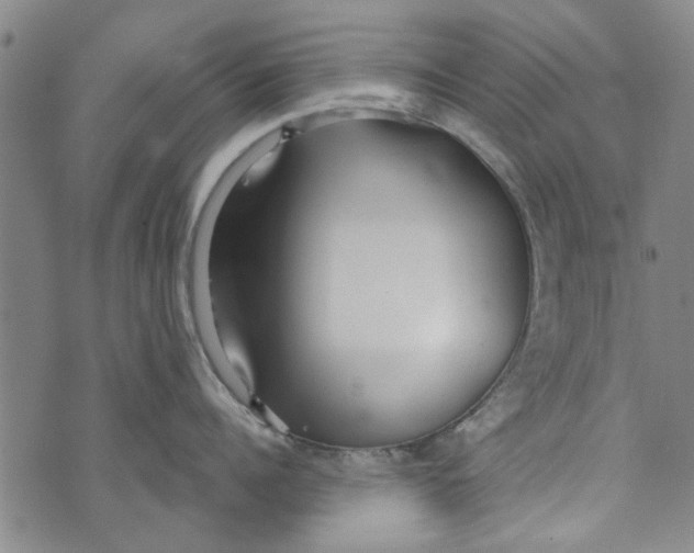 X0000073760960200608241409