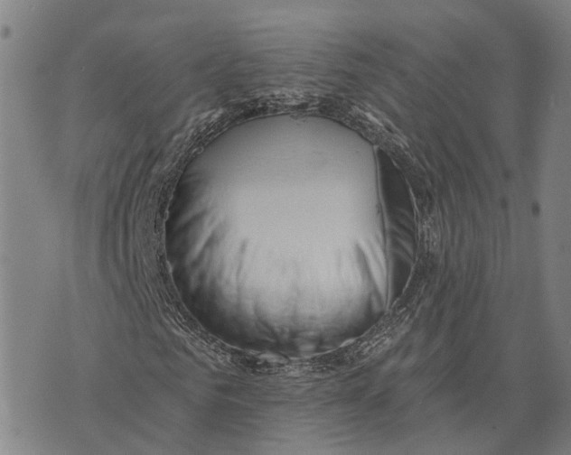 X0000073760961200608241408