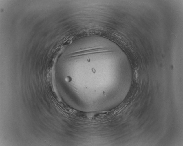 X0000073760963200608241408