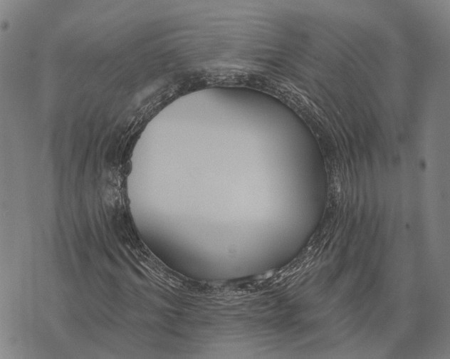 X0000073760964200608241408