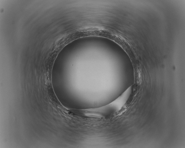 X0000073760965200608241408