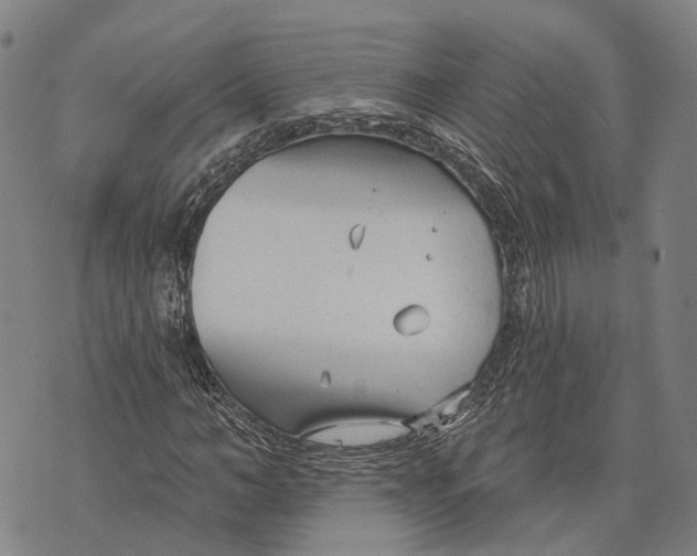 X0000073760966200608241408