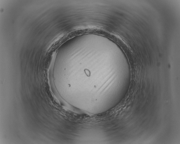 X0000073760967200608241408