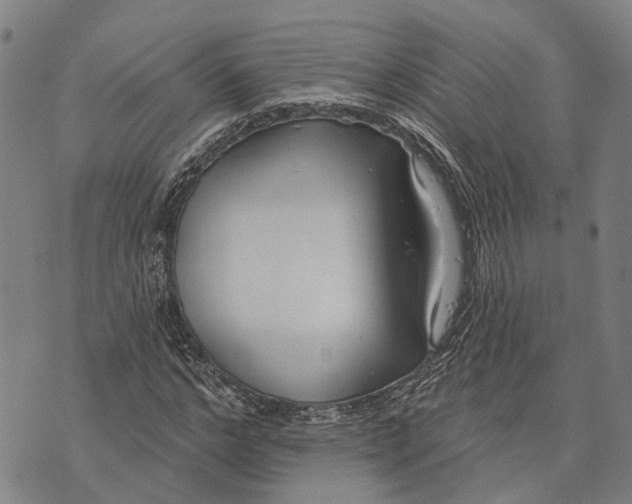 X0000073760968200608241408