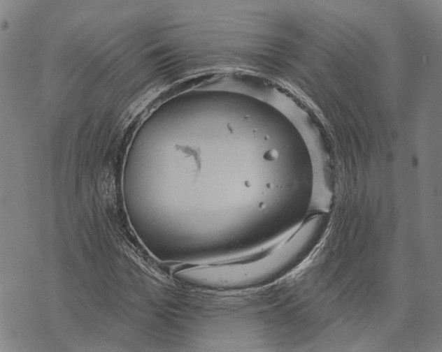 X0000073760969200608241408