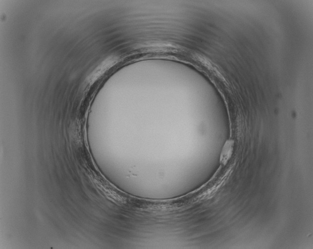 X0000073760970200608241408