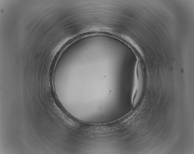 X0000073760972200608241408