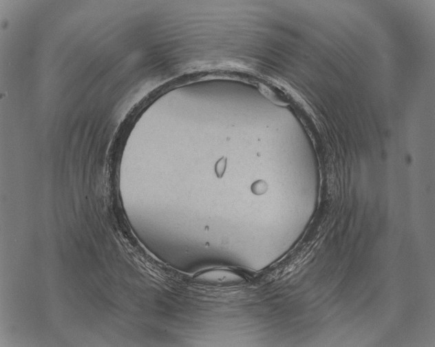 X0000073760975200608241408