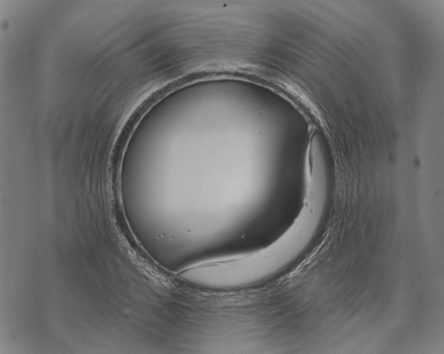 X0000073760976200608241408