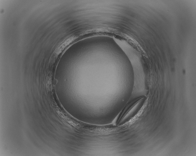 X0000073760977200608241408