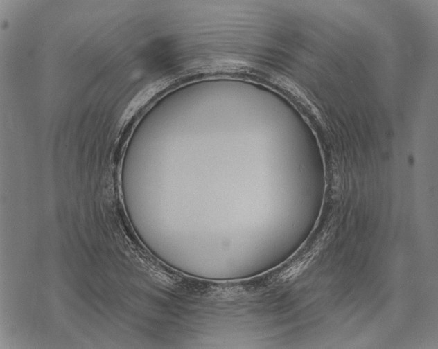 X0000073760978200608241408