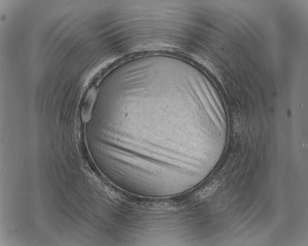 X0000073760979200608241408